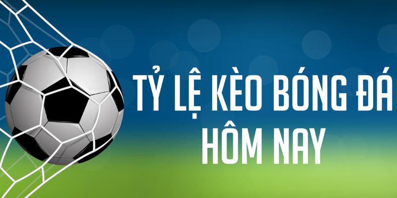 Chi tiết phân tích các loại kèo