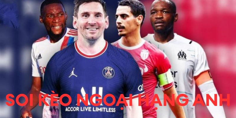 Xu hướng và biến động